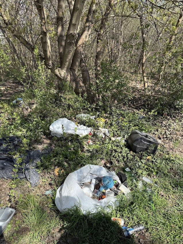 Widok analizowanego wysypiska