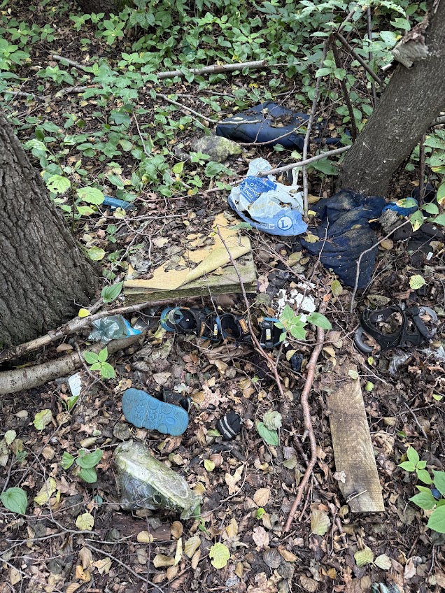 Śmieci leżące pośród drzew